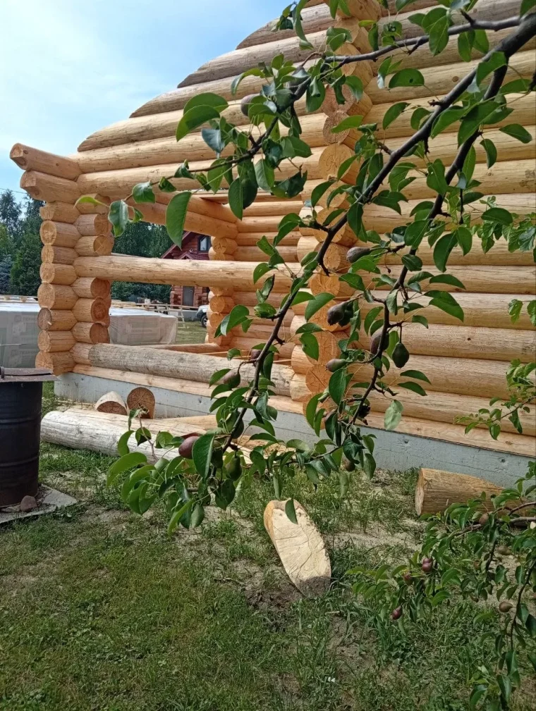 Изготовление сруба — фото 44